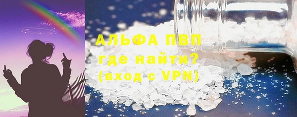 прущие грибы Беломорск