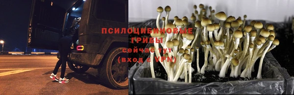 кокаин перу Кинешма