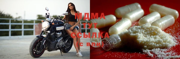гидра Богданович