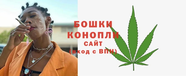 гидра Богданович