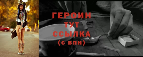 гидра Богданович