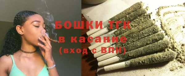 гидра Богданович