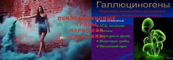 гидра Богданович