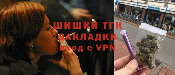 прущие грибы Беломорск