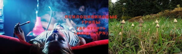 не бодяженный Богородск